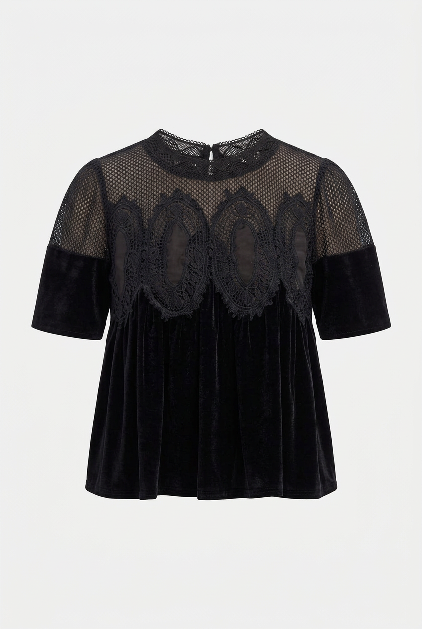 Velvet Mesh and Lace top